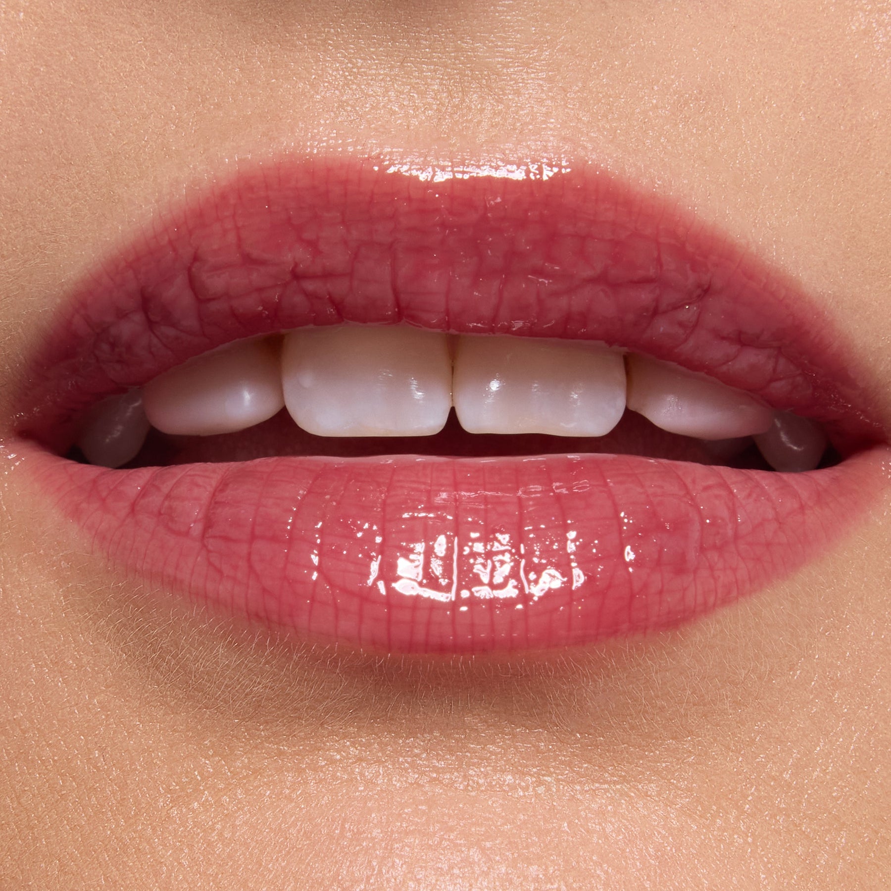 Short Lord - Delicate Premium Lip Collection