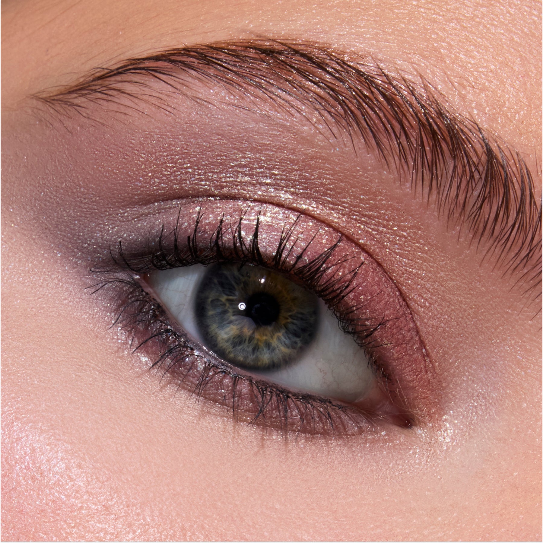 Cullen Coven - Bright Premium Eye Wardrobe