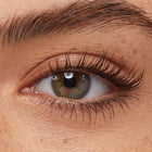 Brown - Plush Sophisticated Lash Focus
