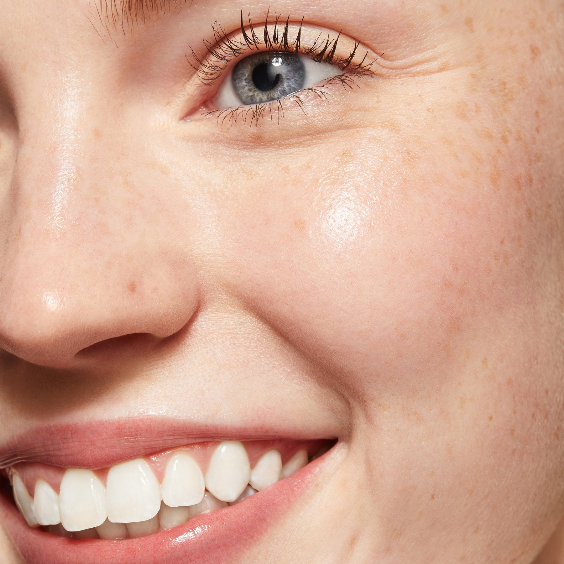 Brown - Plush Sophisticated Lash Focus