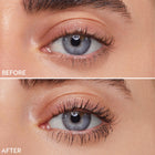 Brown - Plush Sophisticated Lash Focus