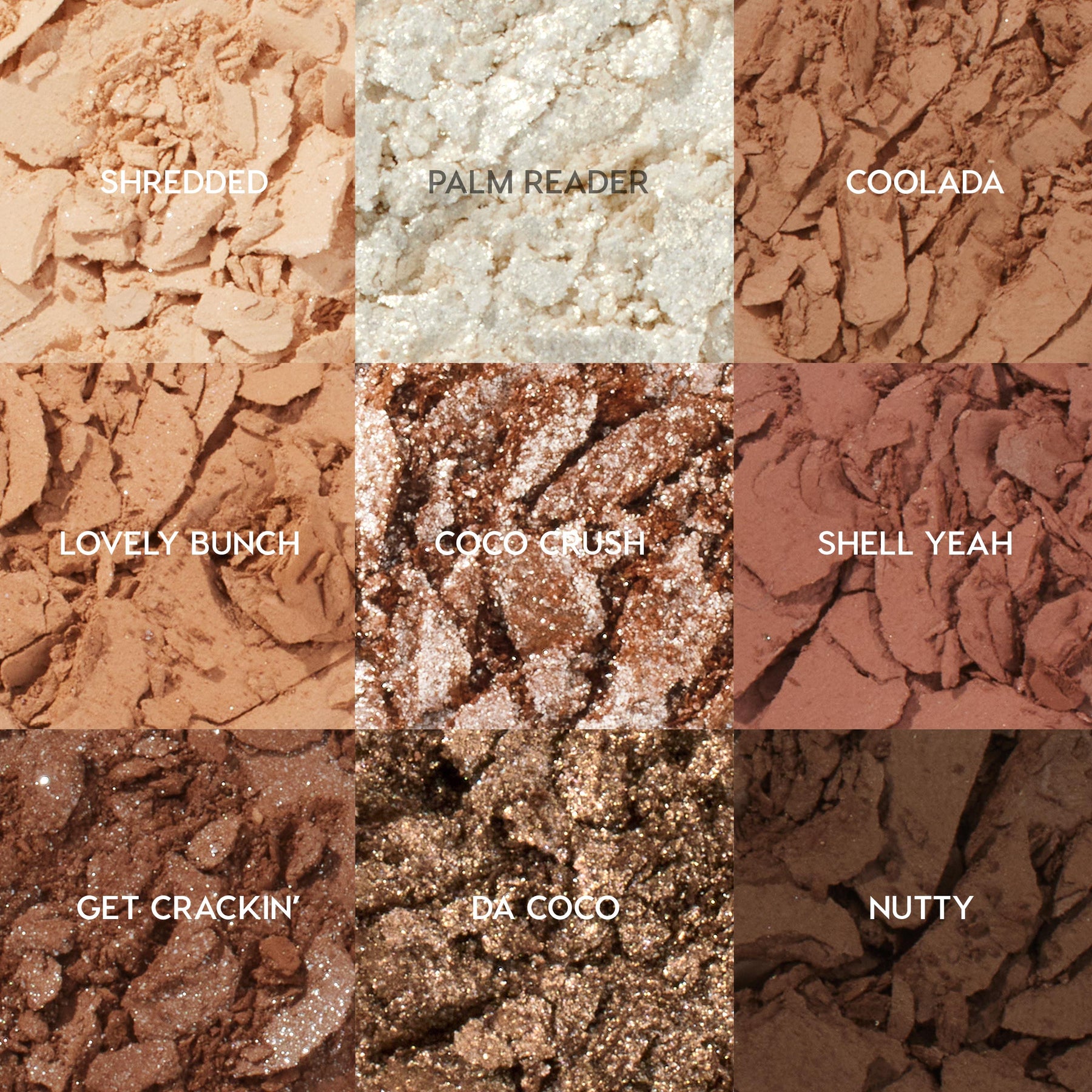 Going Coconuts - Refined Premium Eye Favorite