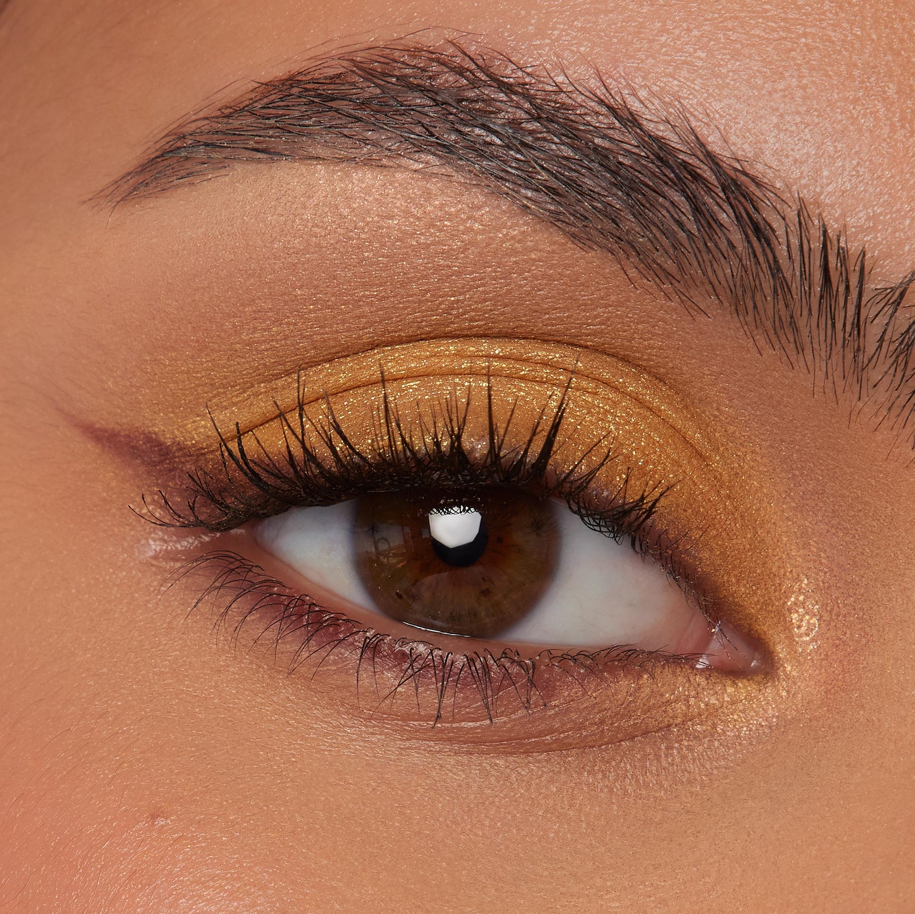Best Day Ever - Radiant Runway Eye Wardrobe