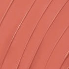 25/8 - Prismatic Confident Cheek Set