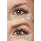 Champagne Blonde Pencil - Plush Festive Brow Frame