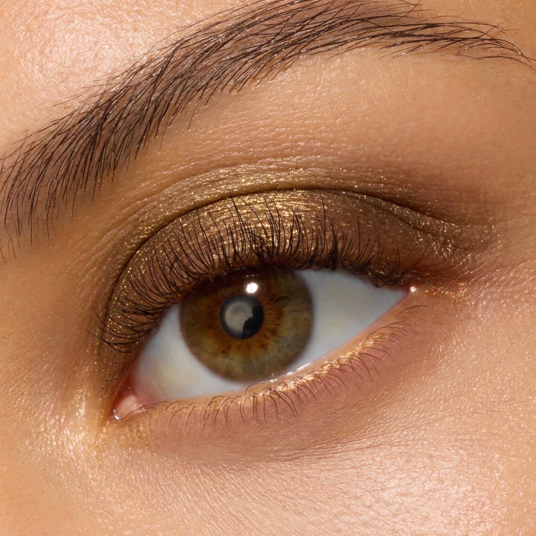We Won't Bite - Silky Expressive Eye Collection