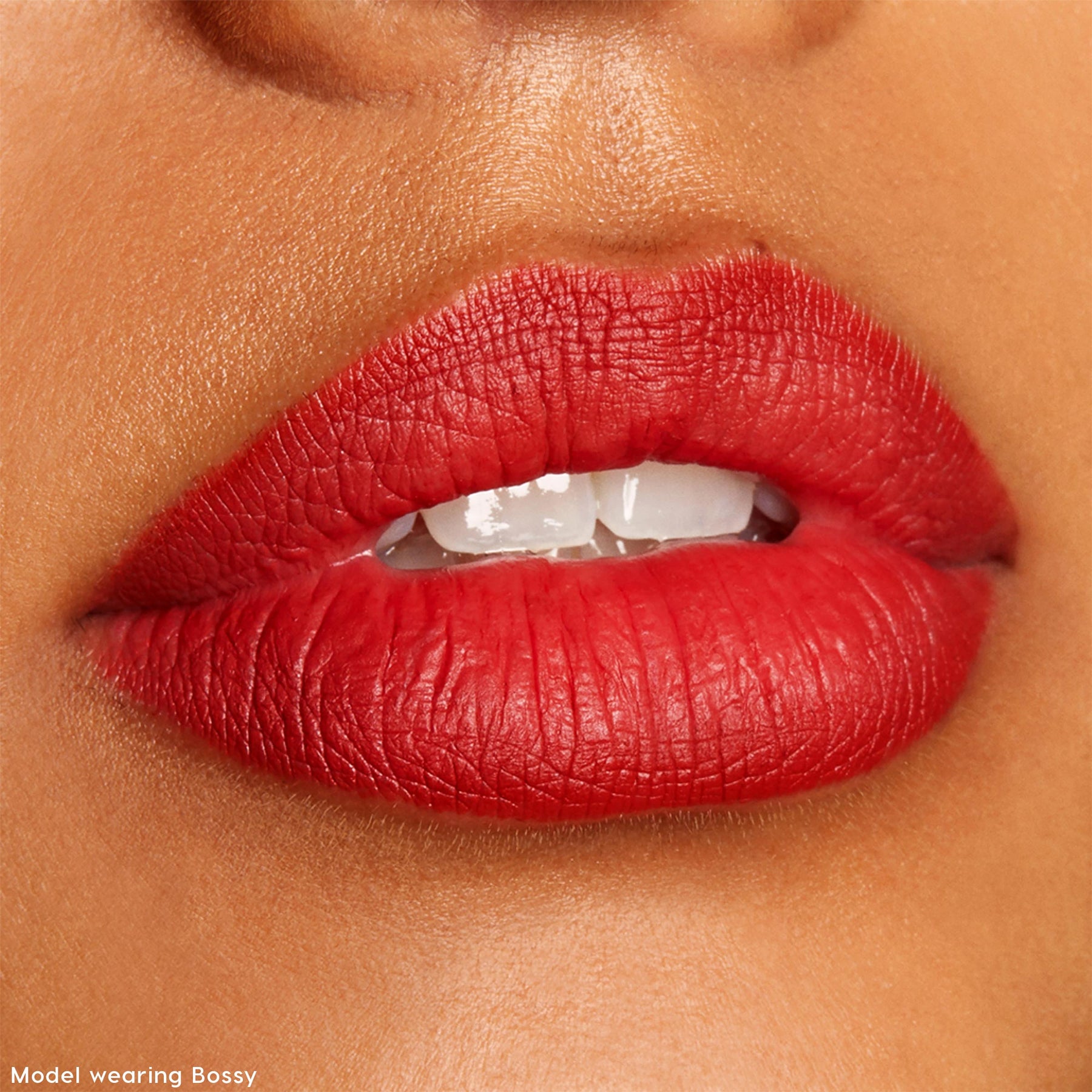 The Lil Box of Lippie Pencils - Dewy Artistic Lip Selection