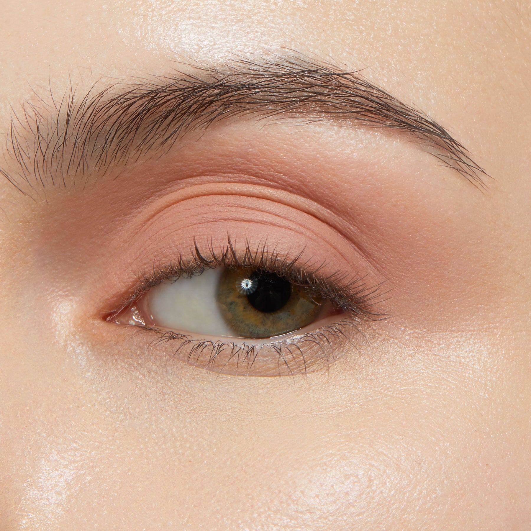 Bare With Me - Soft Favorite Eye Duo