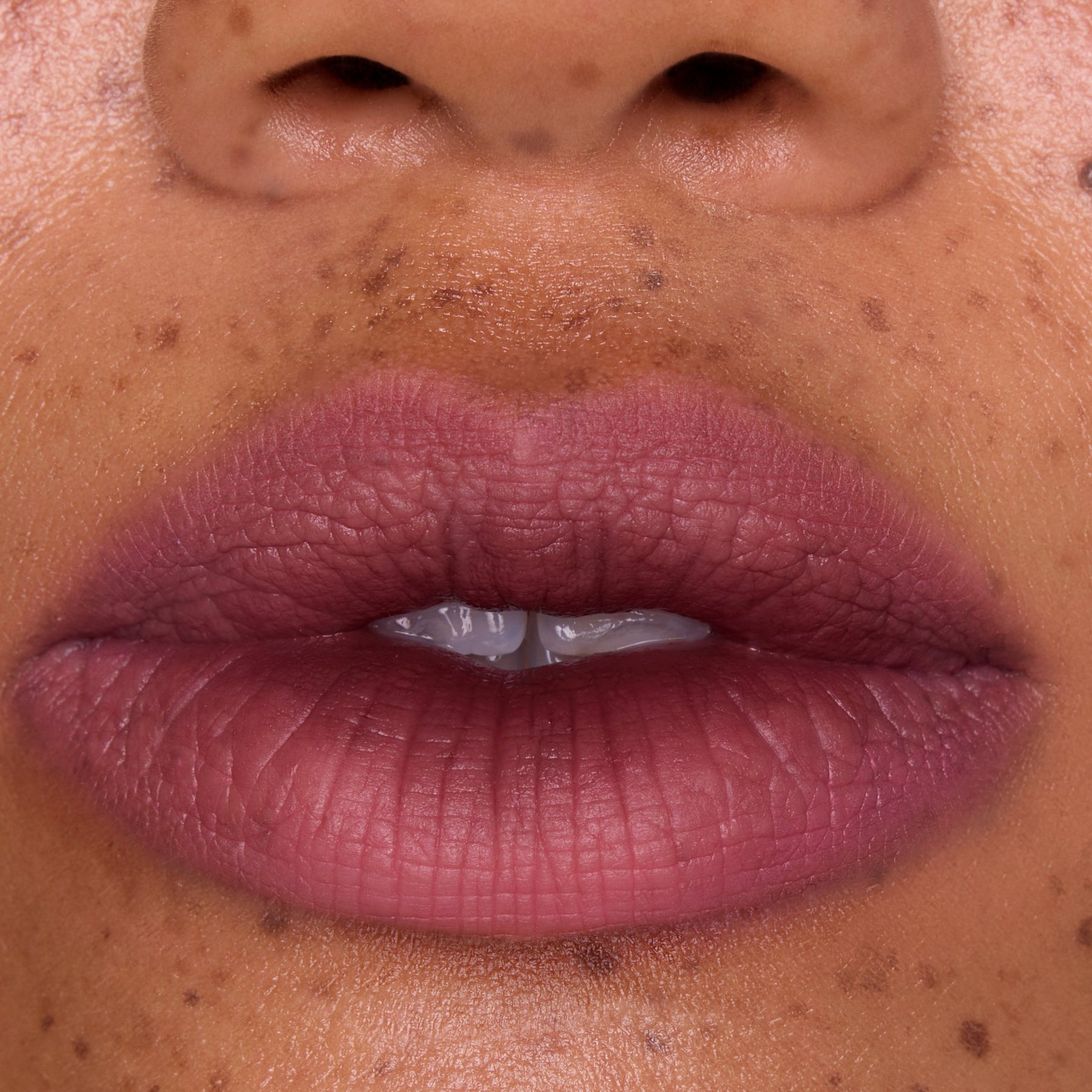 Mocha Plum - Prismatic Portable Beauty Portfolio