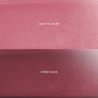 Mocha Plum - Prismatic Portable Beauty Portfolio