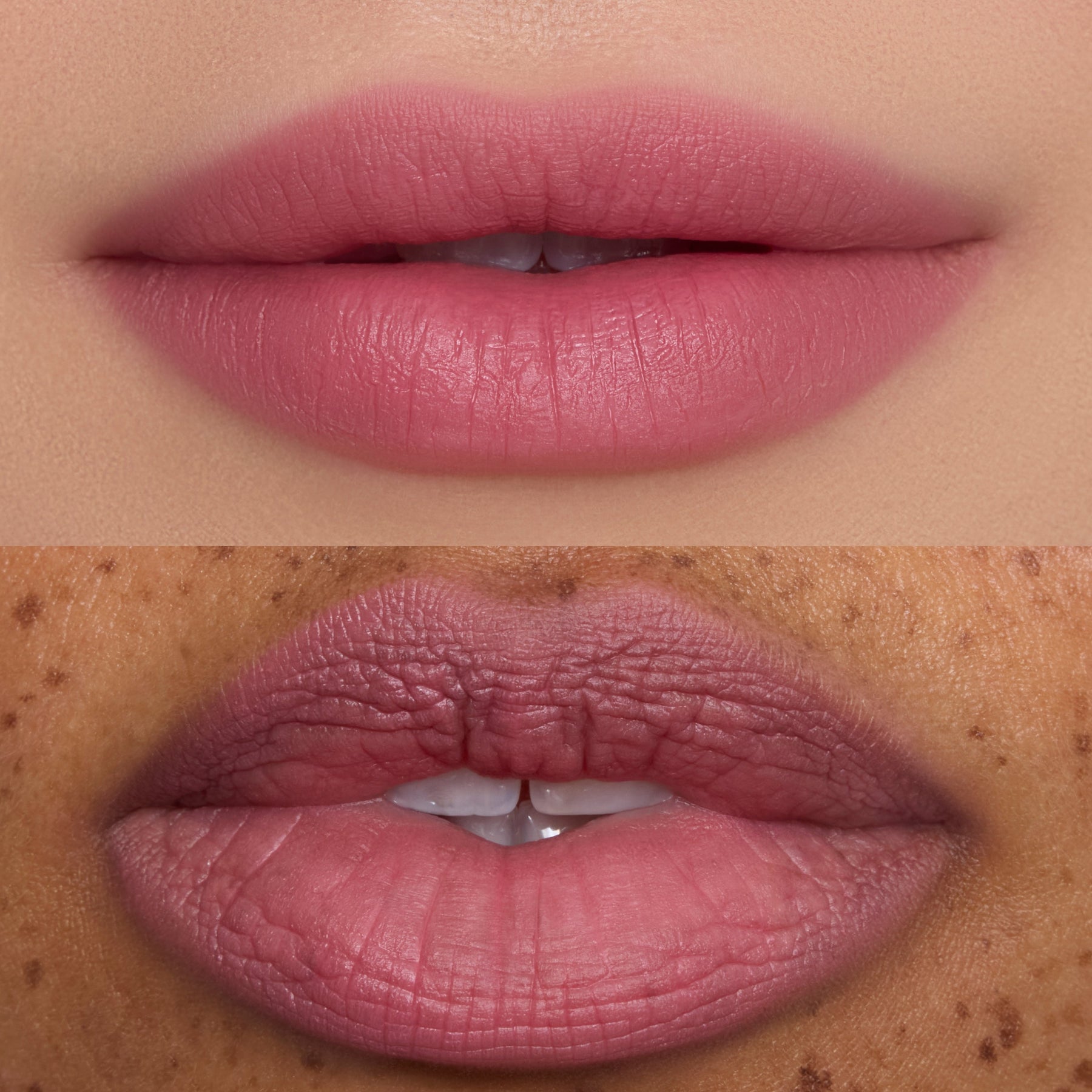 Mocha Plum - Prismatic Portable Beauty Portfolio