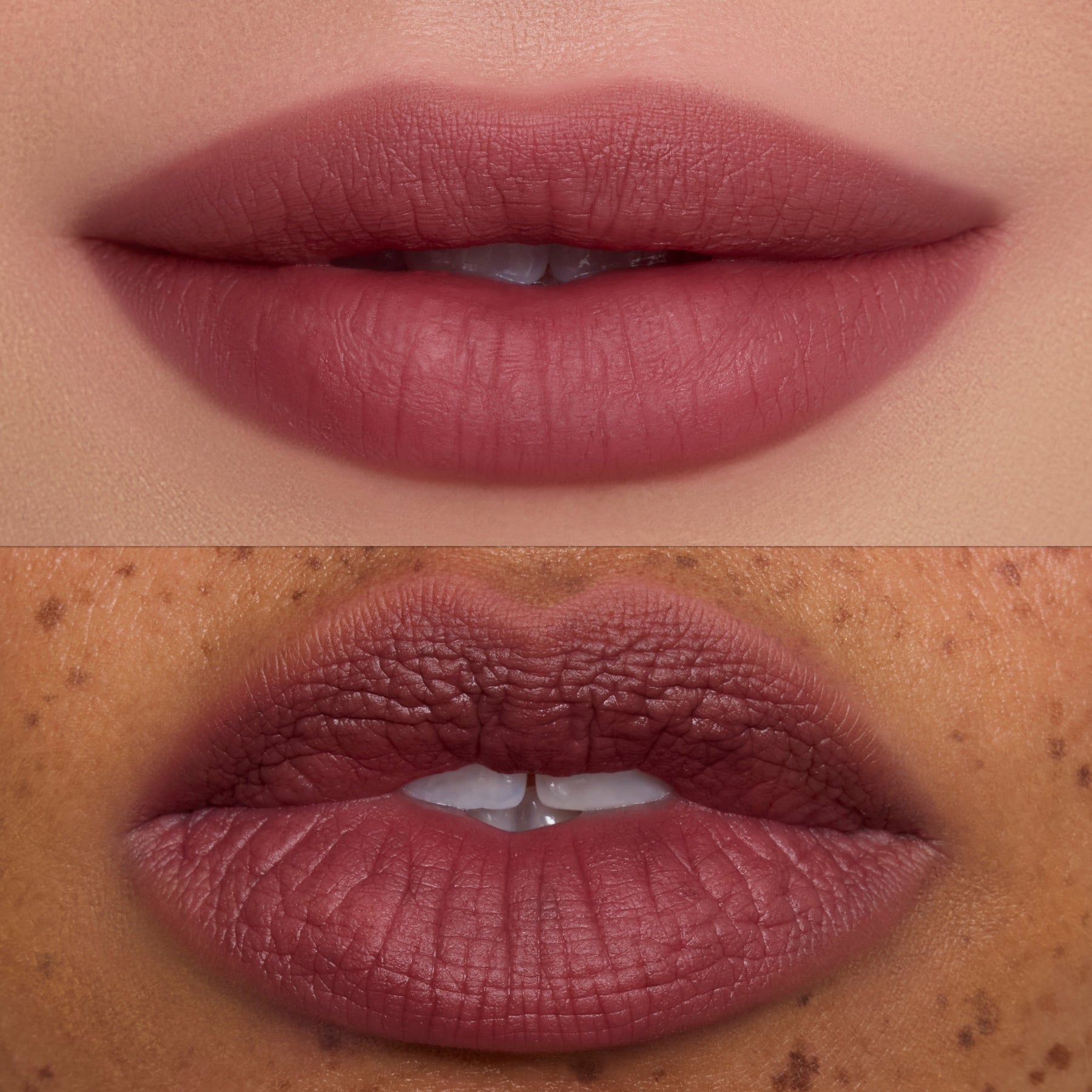 Mocha Plum - Prismatic Portable Beauty Portfolio